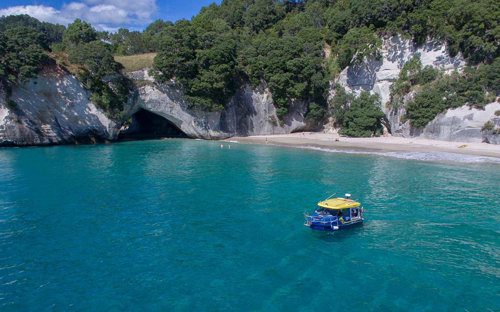 Cathedral Cove Adventure on a Glass Bottom Boat